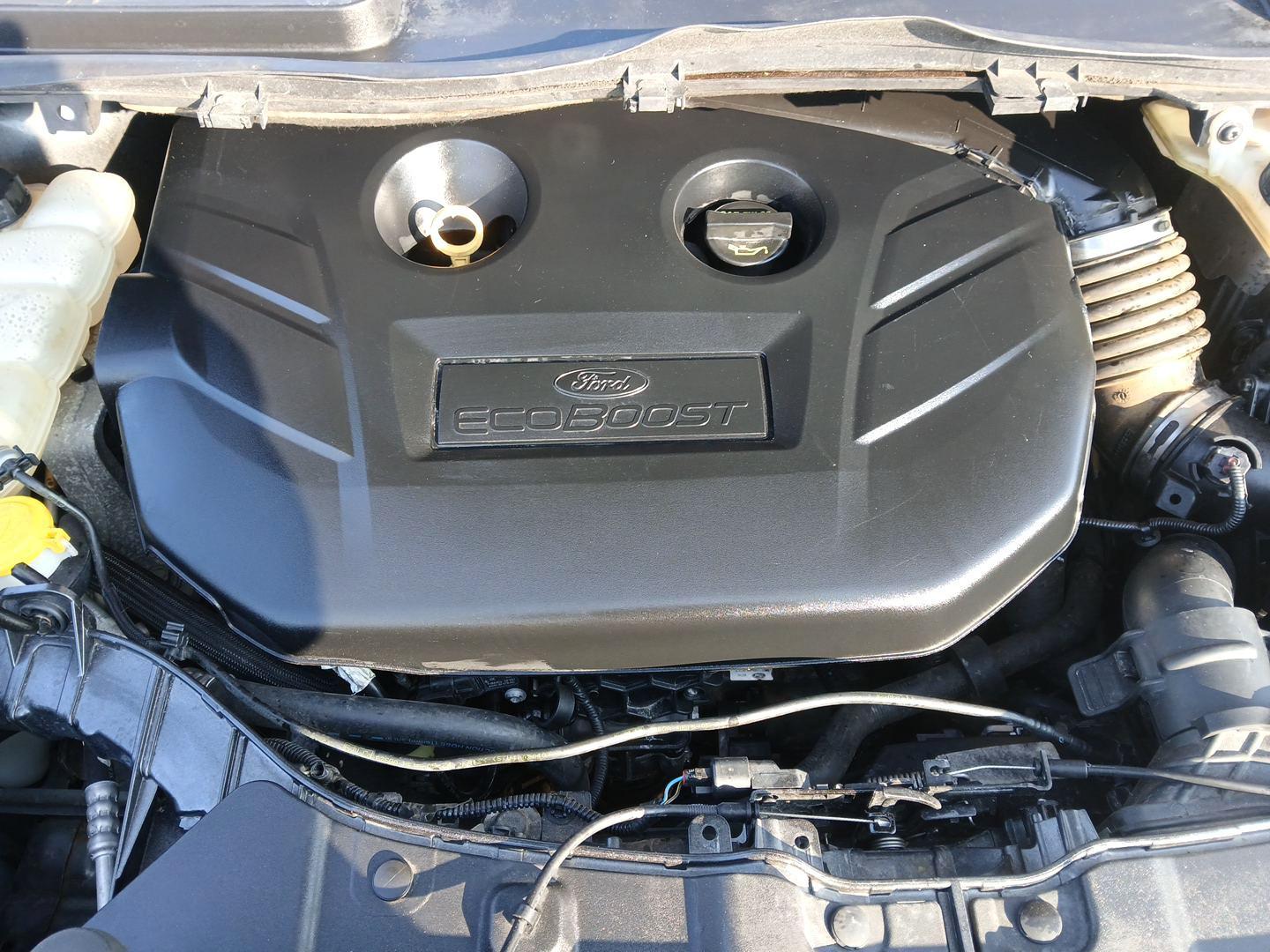 2016 Ford Escape SE 4WD (1FMCU9G91GU) with an 2.0L L4 DOHC 16V engine, 6-Speed Automatic transmission, located at 1184 Kauffman Ave, Fairborn, OH, 45324, (937) 908-9800, 39.807072, -84.031563 - Photo#10