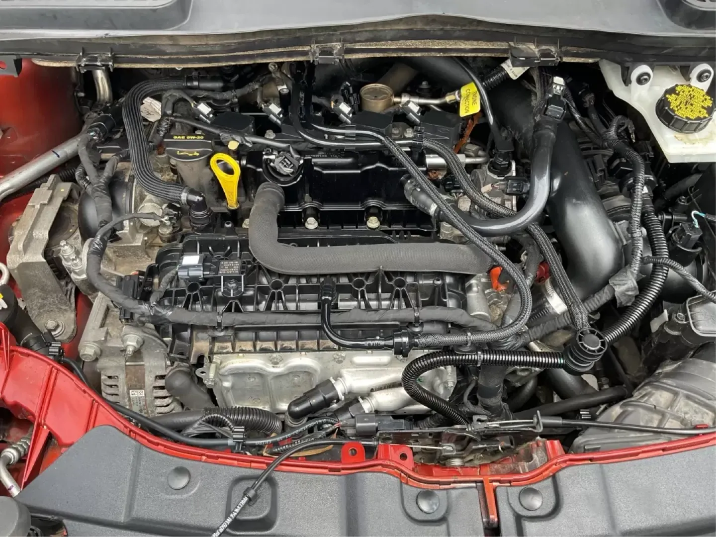 2019 Ford Escape SE (1FMCU9GD7KU) with an Other engine, located at 1230 East Main St, Xenia, OH, 45385, (937) 908-9800, 39.688042, -83.910538 - Photo#10