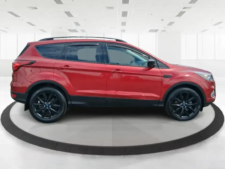 2019 Ford Escape SE (1FMCU9GD8KU) with an 1.5L L4 DOHC 16V engine, 6A transmission, located at 8750 N County Rd 25A, Piqua, OH, 45356, (937) 908-9800, 40.164391, -84.232513 - Make your next week look easier: a confident, all-weather SUV for school runs, long commutes up I75, and spontaneous weekend getaways to Indian Lake or downtown Troy. This **2019 Ford Escape SE** blends practical space with the kind of comfort and tech that fits real life in **Piqua, Ohio**-whether - Photo#1
