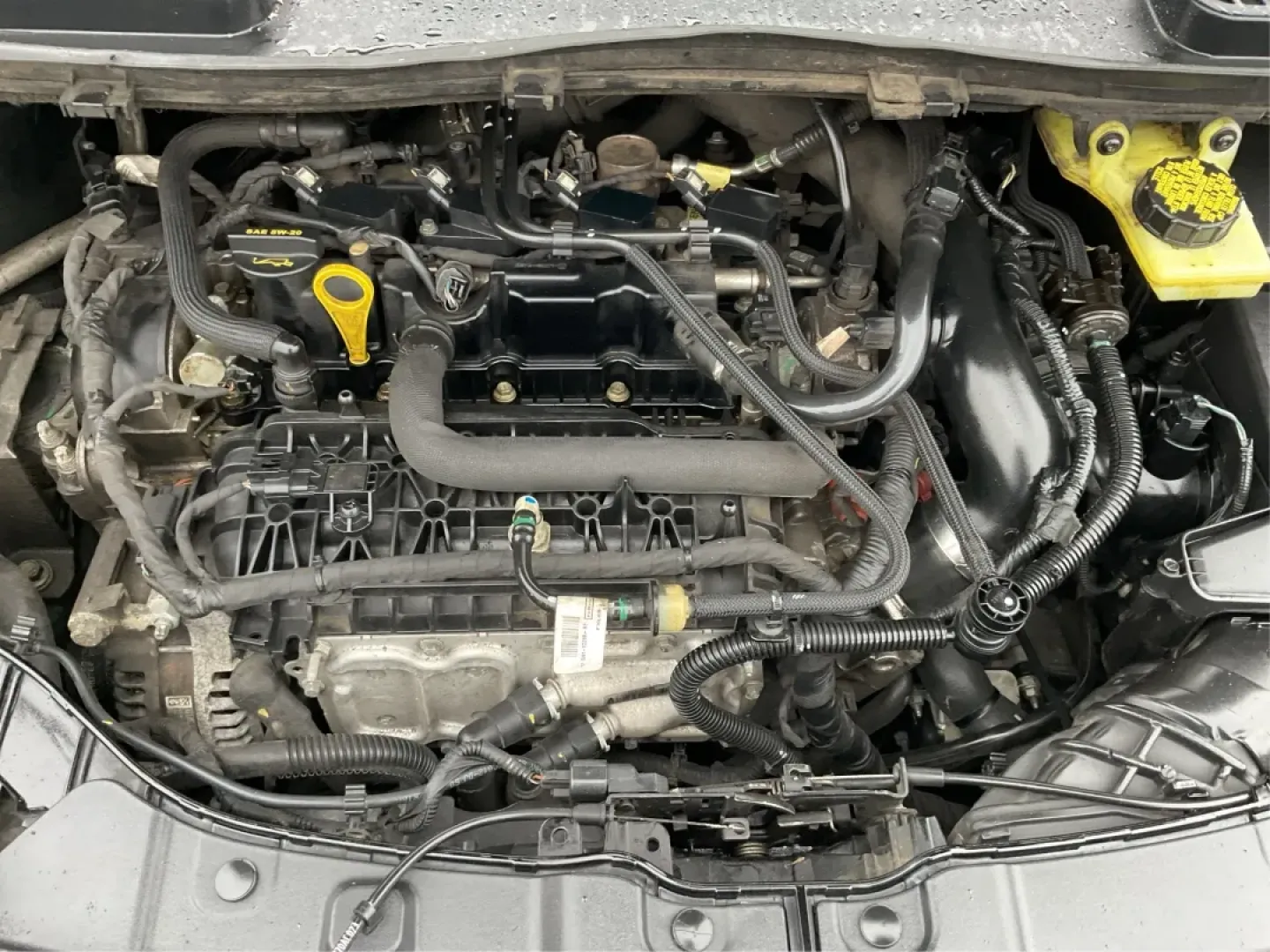 2019 Ford Escape SE (1FMCU0GD1KU) with an Other engine, located at 4508 South Dixie Dr, Moraine, OH, 45439, (937) 908-9800, 39.689976, -84.218452 - **Elevate Your Commute and Adventures with the 2019 Ford Escape SE at Advantage Car and Credit - Moraine!**<br /> <br /> Are you ready to enhance your daily commute or embark on memorable weekend adventures? Look no further than this stunning **2019 Ford Escape SE**, located at **Advantage Car and C - Photo#11